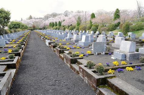 墓地種樹|お墓に木を植えても大丈夫？植木の選び方や手入れ方。